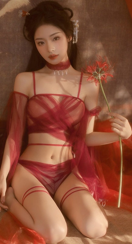 Ruby Oriental Chinese Fairy Lingerie Set • Cosplay Costume • Sexy Lingerie • Sex Roleplay