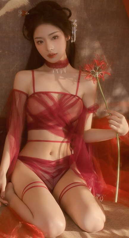 Ruby Oriental Chinese Fairy Lingerie Set  • Cosplay Costume  • Sexy Lingerie • Sex Roleplay