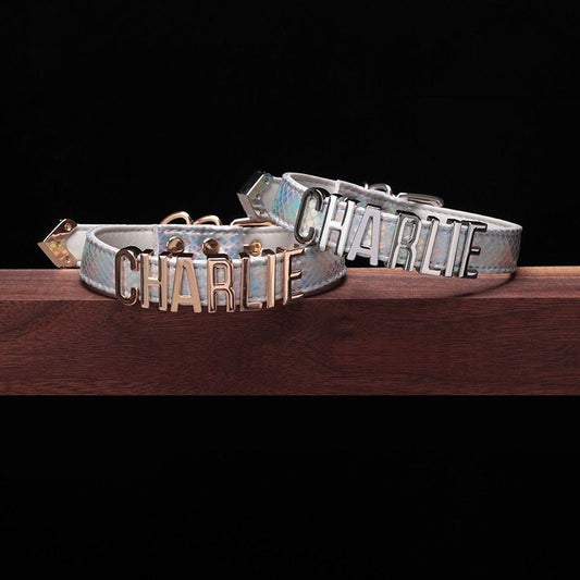 PERSONALIZED NAME Snakeskin Leather Choker Chain Necklace • Lolita Accessories • Adult Role Play • Cosplay Accessories