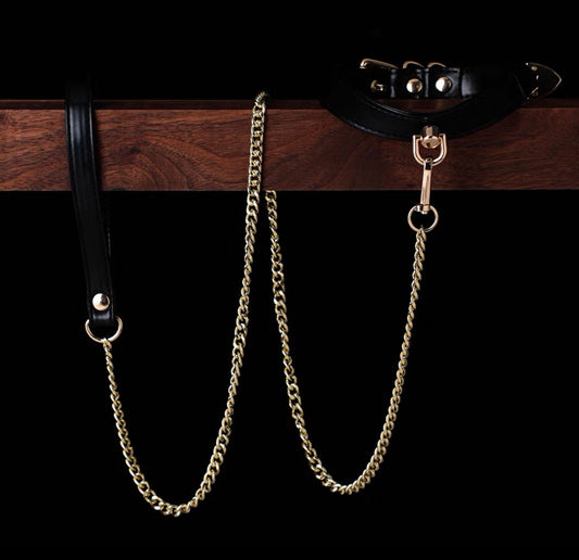 Unisex Basic Set Collar Choker Necklace with Leash • Adult Role Play • Bondage Restraints • Gag Fetish