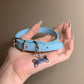 Blue Paws Dog Bone Collar Choker with Leash