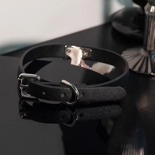 Kitty Bunny Animal Paw Collar Choker Necklace with Leash • Adult Role Play • Bondage Restraints • Gag Fetish